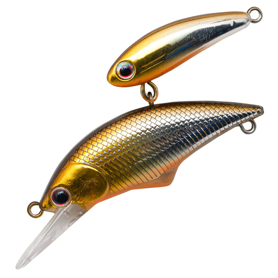 Alexandra Shade 50mm