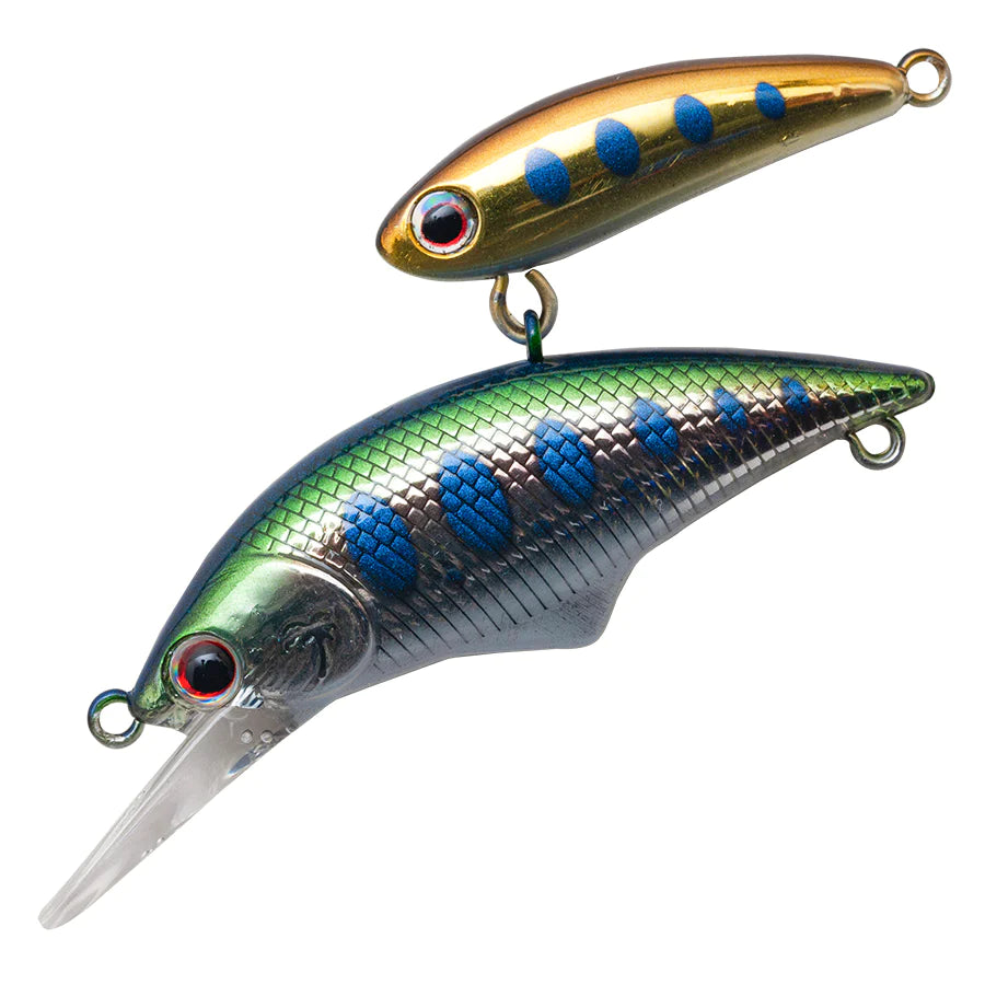 Alexandra Shade 50mm