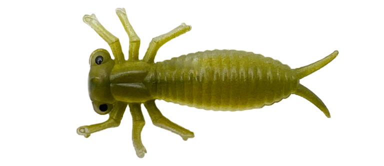 Morbak