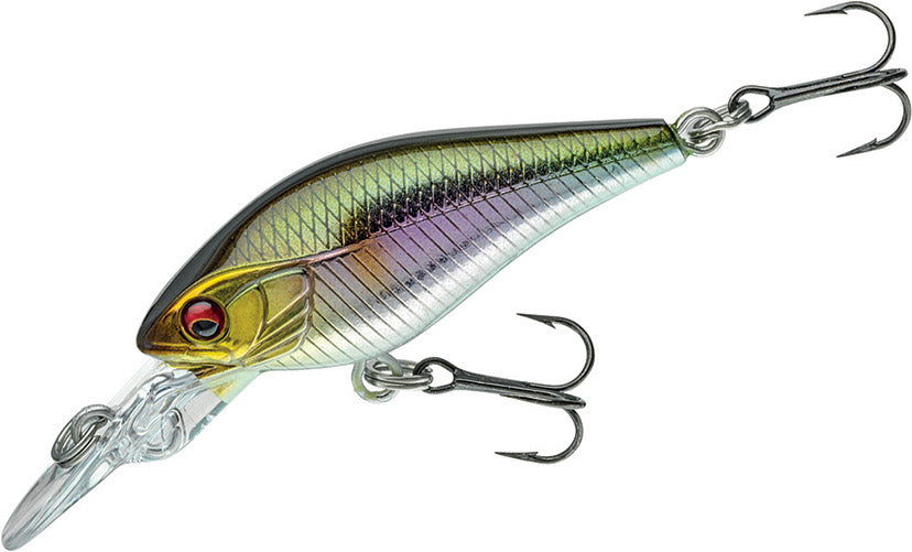 Prorex Baby Crank 40F MR