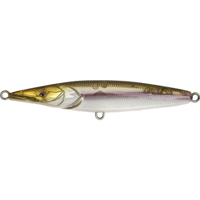 ASTURIE 110