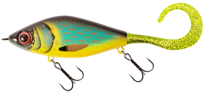 Poisson Nageur CWC Guppie - 13.5cm