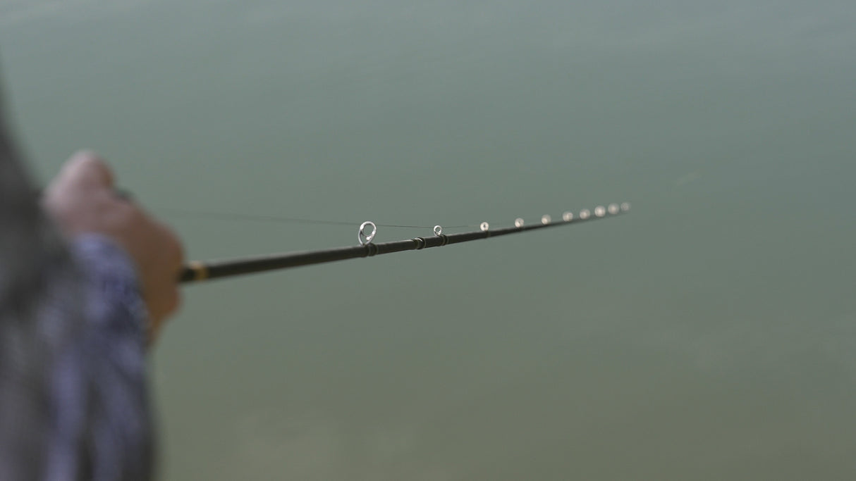 Favorite X1 GOLD Casting