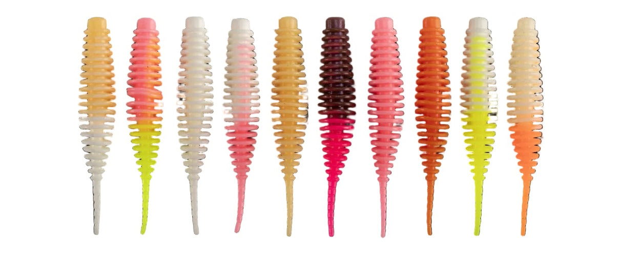 Tanta 1,5" Pack Multi Couleurs Flashy