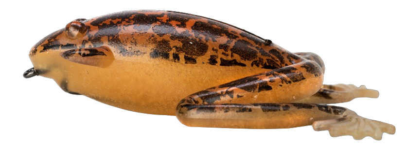 Jelly Katak Combo - 7,6cm