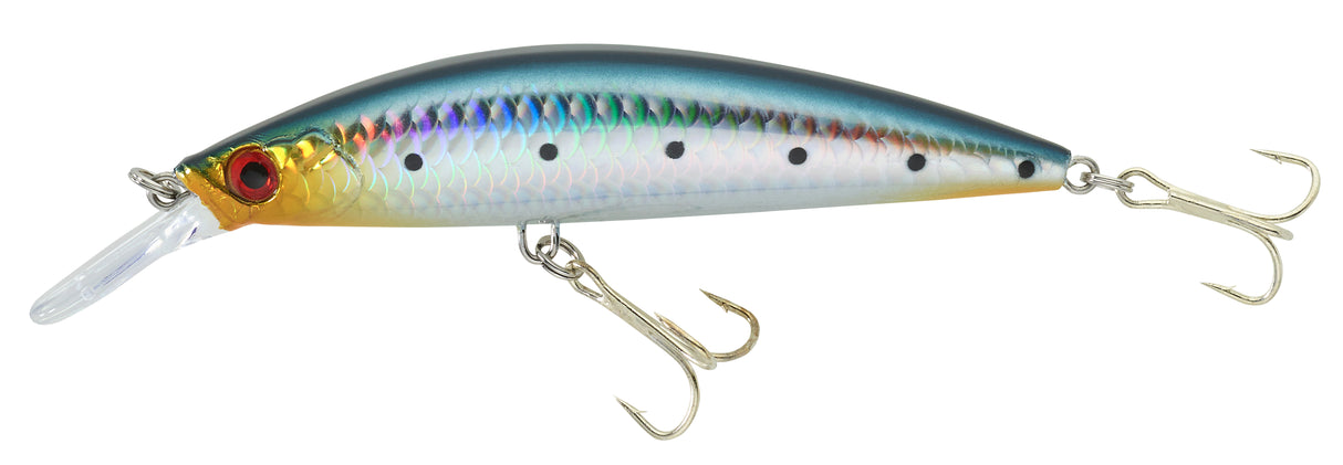 Drakk Minnow