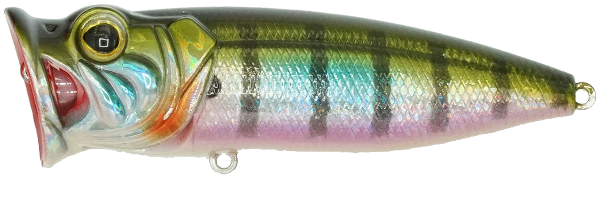 Perch Pop Junior - 4cm