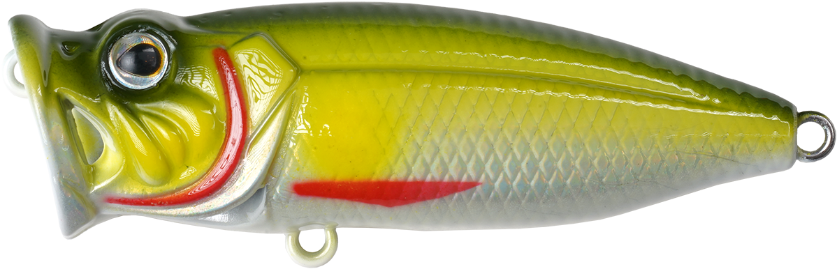 Perch Pop Junior - 4cm