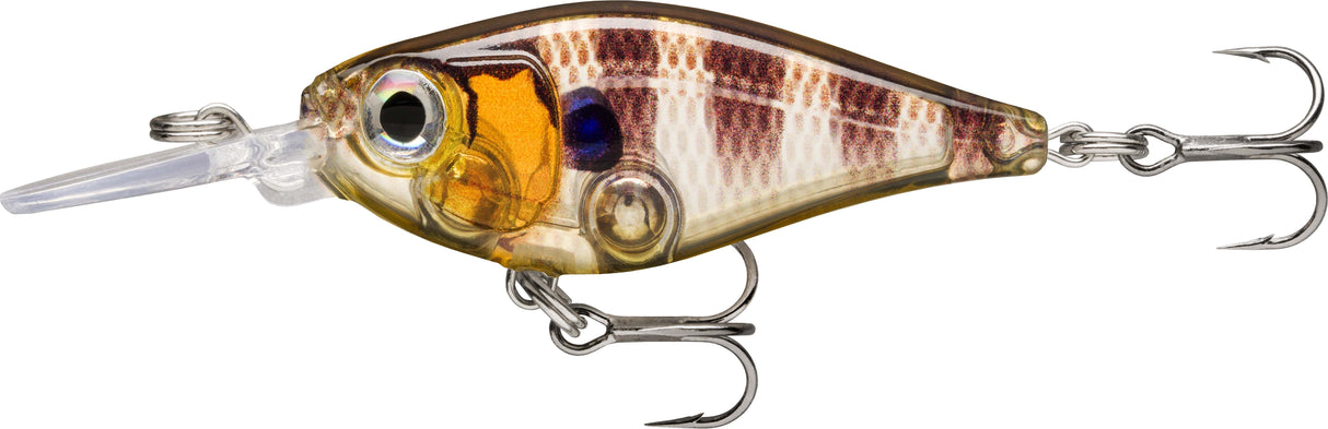 X-Light Shad