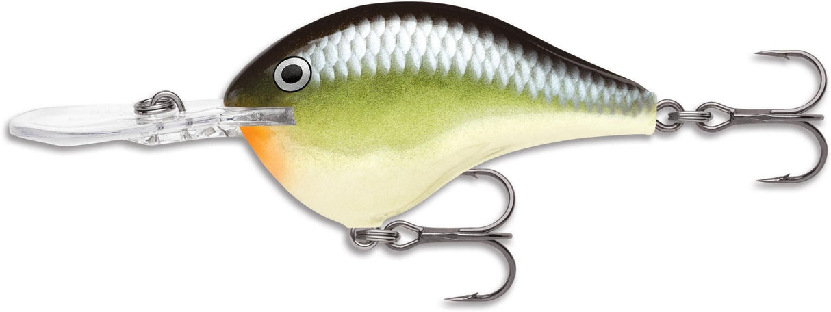 DT® (DIVES-TO) SERIES - 5cm