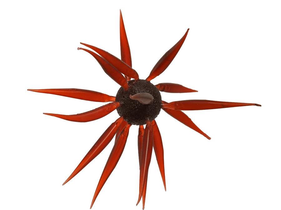 Leurre Souple Hideup Coike Fish M Elastomer - Boule 1,7cm