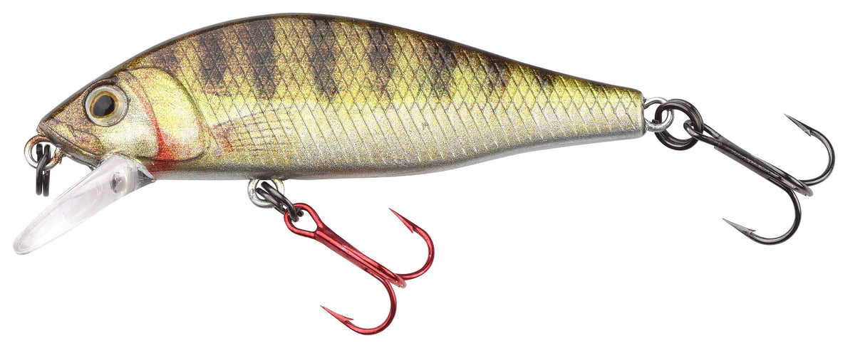 IKIRU Flat Jerk 50FS