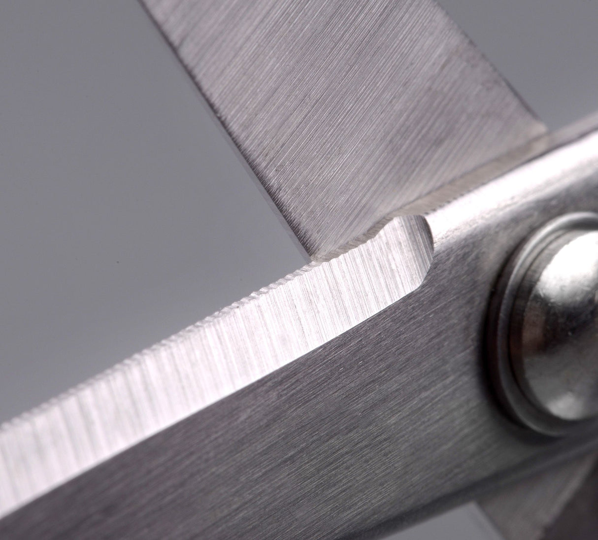 Braided Line Scissors 13,5cm