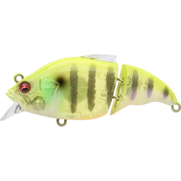 VIBRATION VATALION X SS