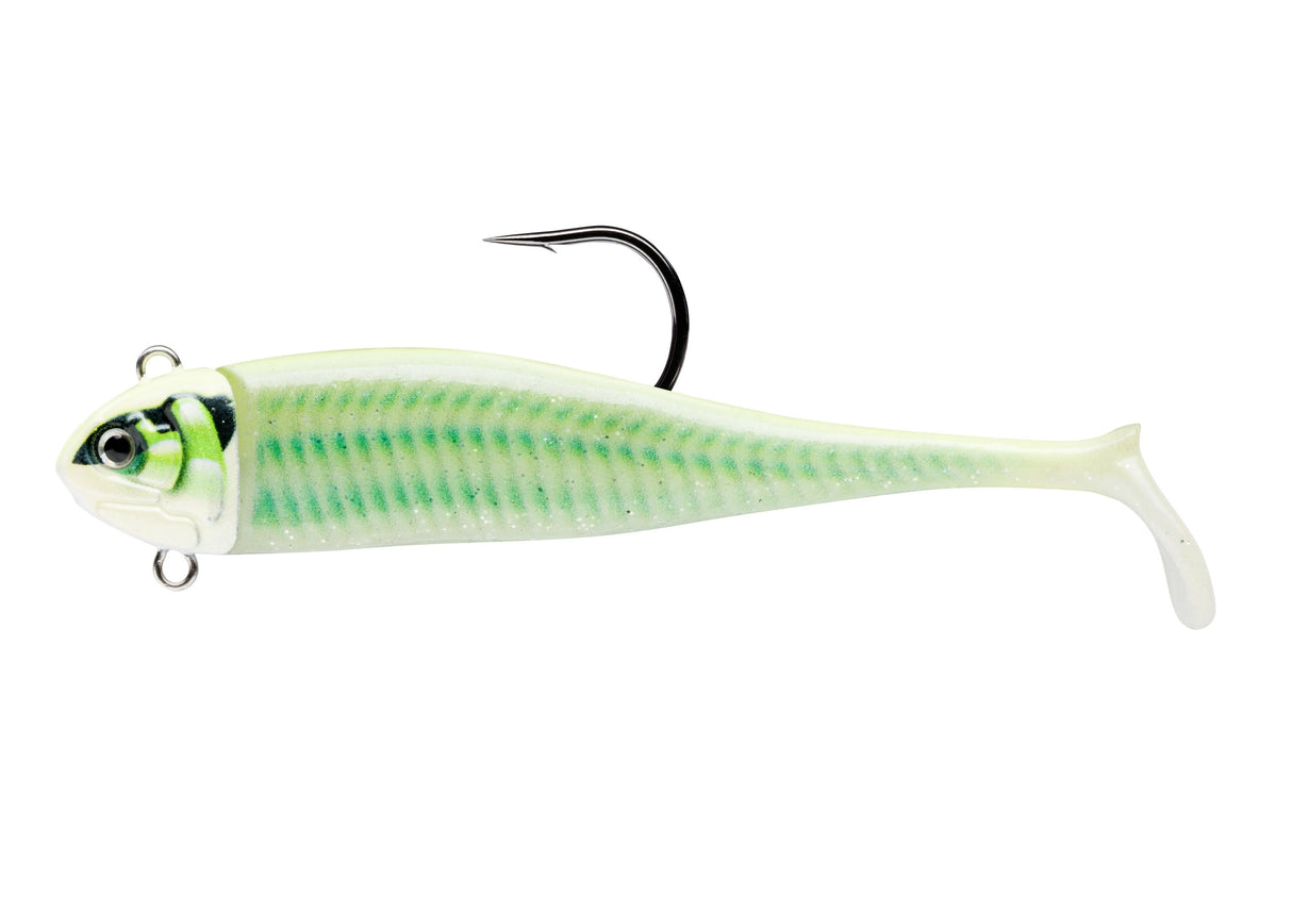 BISCAY COAST MINNOW - 9cm