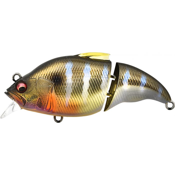 VIBRATION VATALION X SS