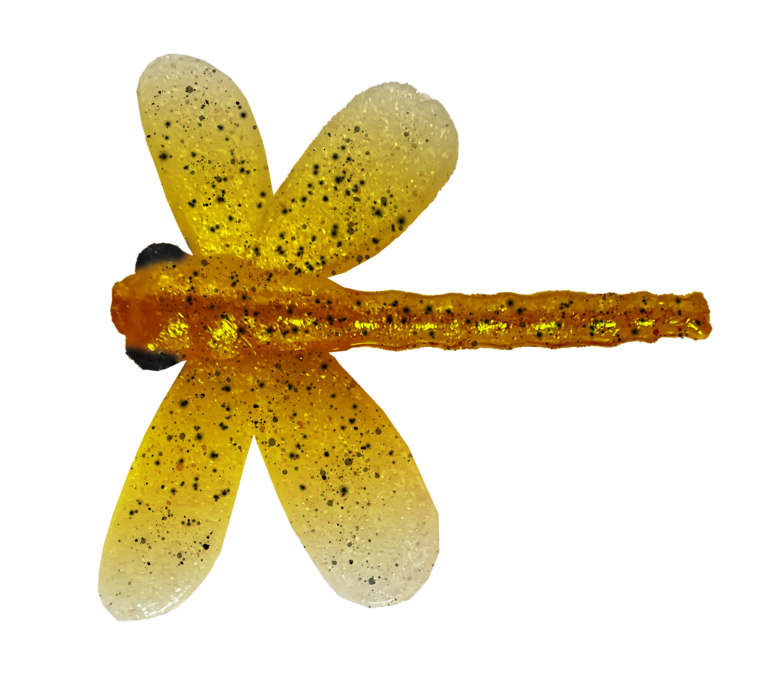 Libellules