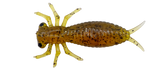 Morbak
