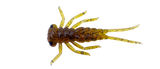 Larva - 3cm