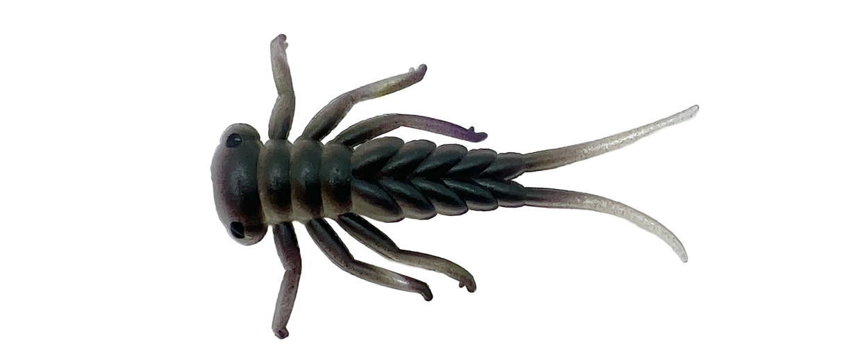 Larva - 3cm