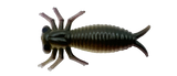 Morbak