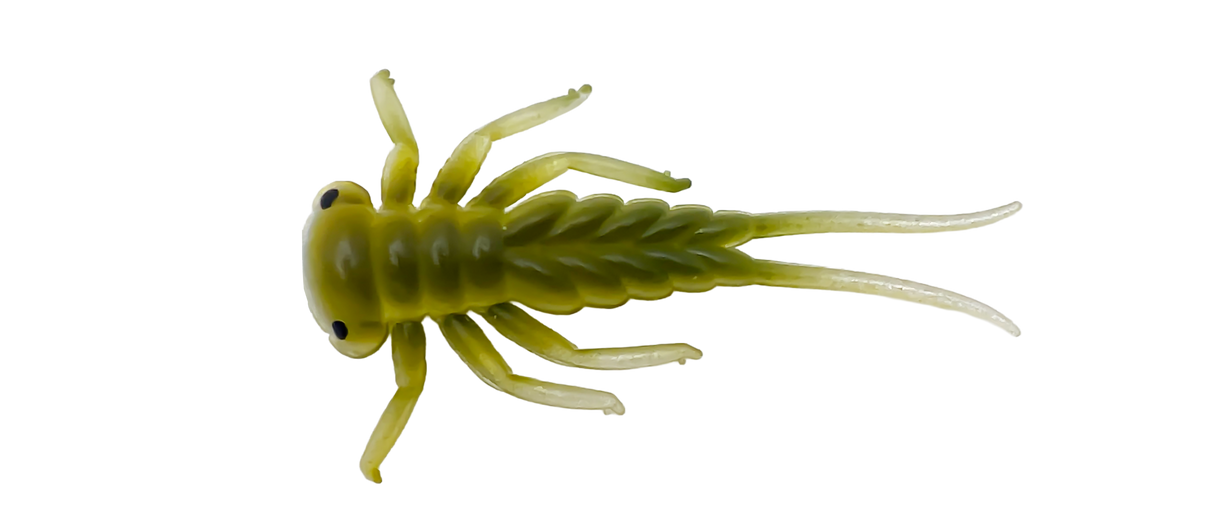 Larva - 3cm