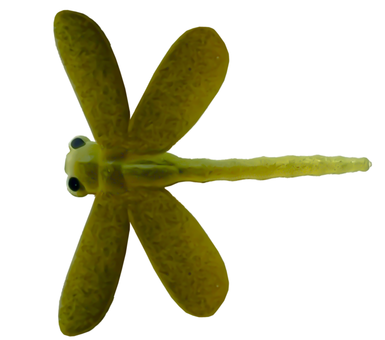 Libellules