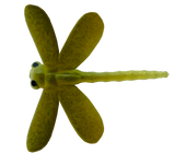 Libellules
