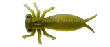 Morbak