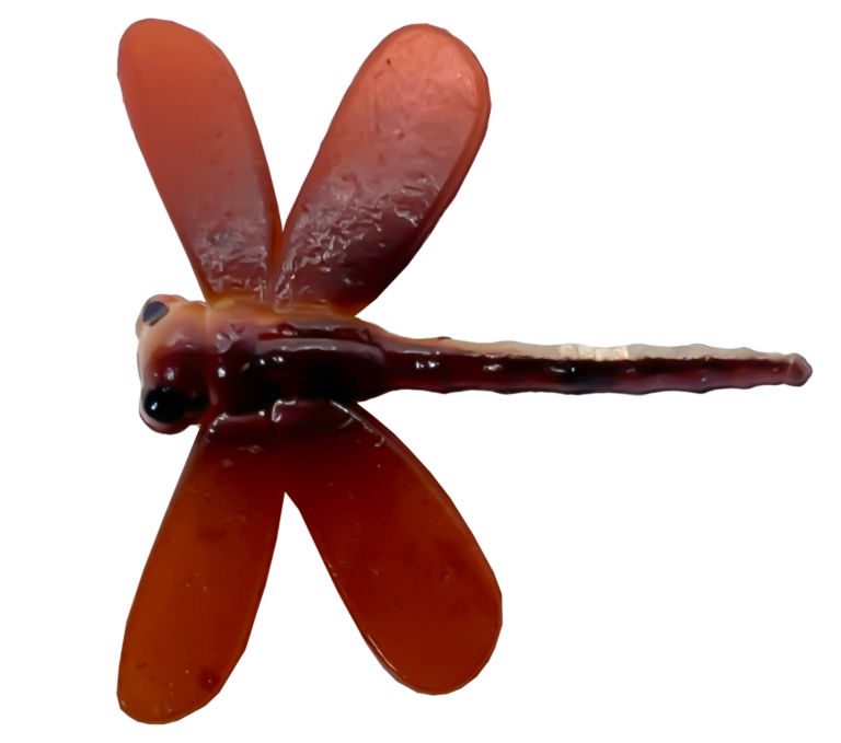 Libellules