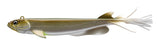 Prorex V Marley Pelagic Shad - 21cm