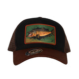 Casquette Creative Trout