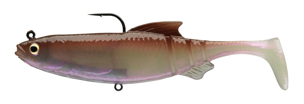 Leurre Souple Daiwa Prorex Lazy Roach RD - 12cm