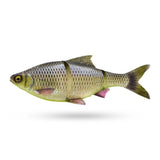 4D Line Thru Roach Slow Sinking - 18cm