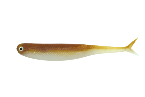 Leurre Souple Dstyle Virola Type HG 4" - 10,2cm