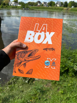 Box Brochet Bar d'Écume