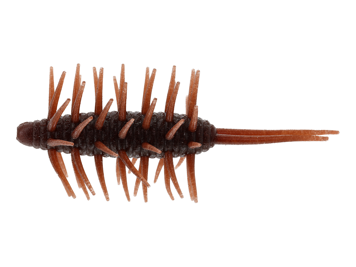 Leurre Souple Hideup Coike Shrimp Extra Large - 6,7cm