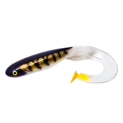 Gator Catfish - 25cm