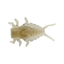 Dappy Mayfly