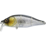 Poisson Nageur Xorus Dango 120 SR - 12cm