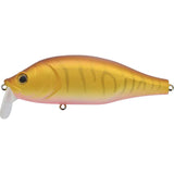 Poisson Nageur Xorus Dango 120 SR - 12cm