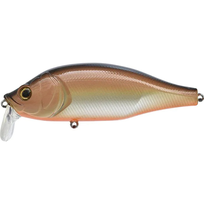 Poisson Nageur Xorus Dango 120 SR - 12cm