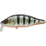 Poisson Nageur Xorus Dango 120 SR - 12cm