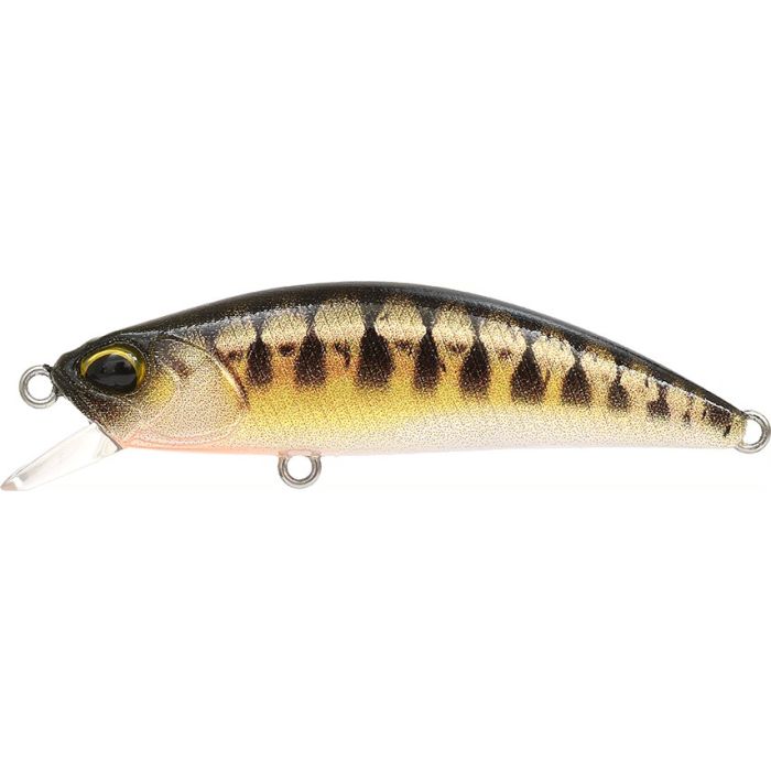 SPEARHEAD RYUKI 50 F