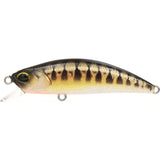 SPEARHEAD RYUKI 50 F