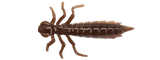 DRAGONFLY - 1,2"