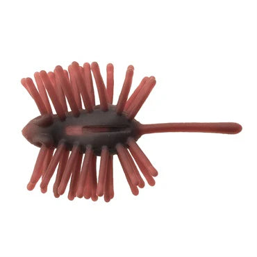 Hedgehog