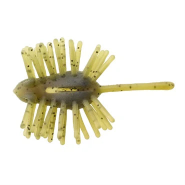 Hedgehog
