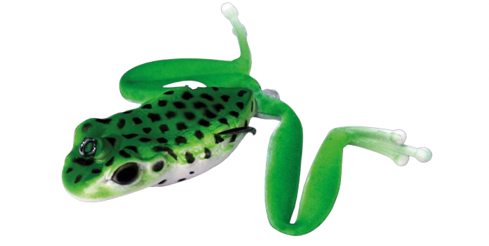 Diving Frog