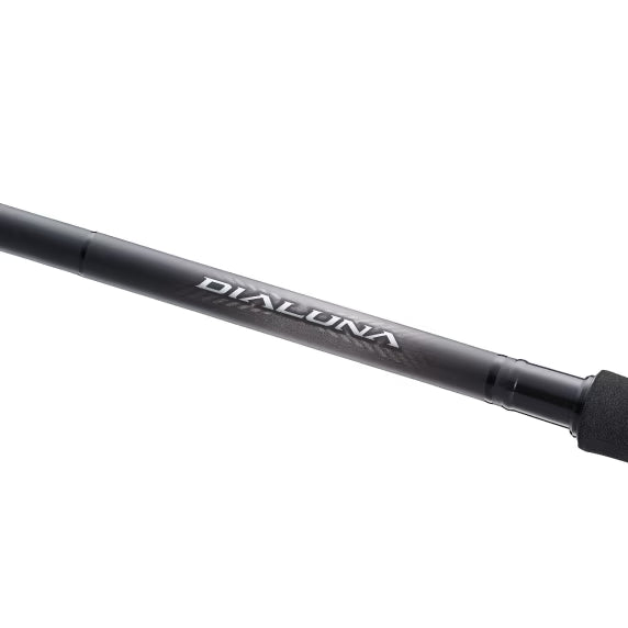 Canne Spinning Shimano Dialuna Inshore